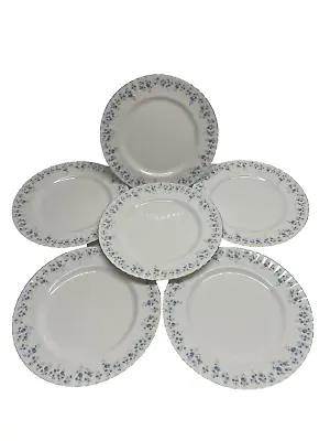Buy Royal Albert Memory Lane Dinner Plates Set Of 6 (M121), Tableware (b) • 32.99£