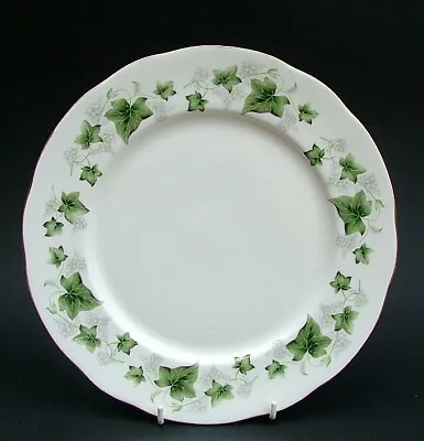 Buy Duchess Fine Bone China Ivy Large Size Dinner Plate 26.5cm Look In VGC • 7.50£