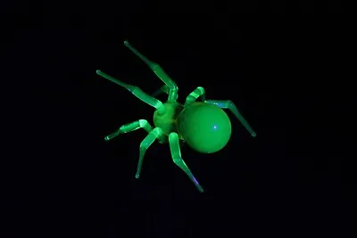 Buy Uranium Glass Spider Uranium Vaseline Glass Figurine Spider Glass UV Spider • 42.07£