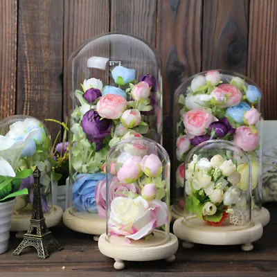 Buy Clear Glass Display Cloche Bell Ornaments Flower Jar Dome Wooden Base Stand • 6.95£