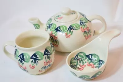 Buy Boleslawiec Hand Painted Berries Polish Pottery Teapot, Mug, And Teabag Holder • 43.16£