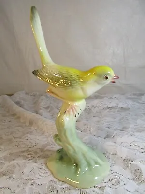 Buy Brad Heeler #18 Bird Figurine • 23.05£