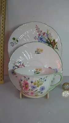 Buy Rare Shelley China England  Oleander Shape  Wild Flowers Trio Cup Saucer Plate • 79.99£