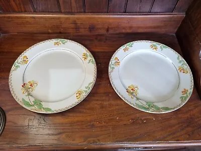 Buy Vintage Pair John Maddocks Royal Ivory Honeysuckle 12  Dinner/Serving Plates • 13.50£