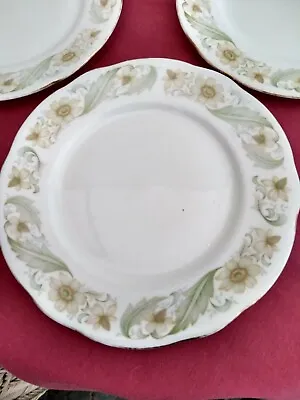 Buy Lovely Vintage Duchess B/China  21cm PLATE Greensleeves Design SOLD IN SINGLES • 1.49£