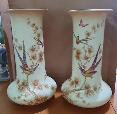 Buy Pair Crown Ducal Ware Vases 27cm High Birds Of Paradise Decoration (B39) • 50£