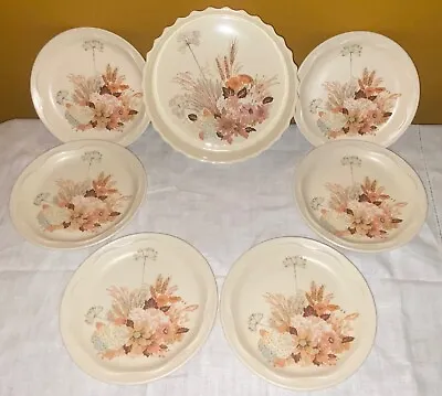 Buy Poole Pottery Flan Dish & 6 Side Plates Summer Glory Design • 15.50£