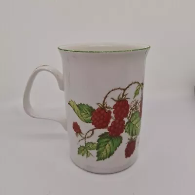 Buy Roy Kirkham Raspberry Fruit Garden Fine Bone China Mug • 8£