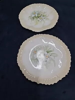 Buy 2 X Vintage BLAKENEY England Pottery, Ceramic FLORAL Decorative Plates 9  BEIGE • 15.99£