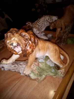 Buy The Great Cats Of The World - Franklin Mint - 'african Lion' Porcelain Figure • 12.99£