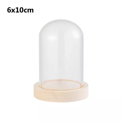 Buy Glass Dome Display Bell Jar Cloche On Wooden Base Table Decorative 6 Sizes* • 5.92£