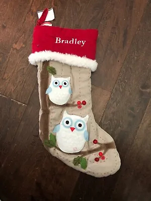 Buy New Pottery Barn Kids Woodland Owls Beige  Red Christmas Stocking Mono Bradley • 16.85£