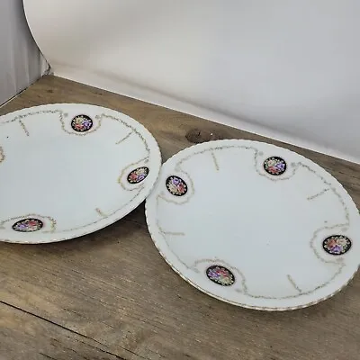 Buy 2 Vintage/Antique Bone China Pretty Floral Plates With • 14.99£