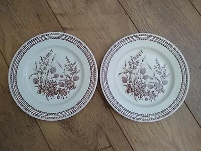 Buy 2 X English Ironstone Brown Leaves / Flowers  Pattern 9 1/2  Plate VGC • 12.99£