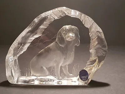 Buy Dartington Crystal Alfred Capredoni Signed Glass Paperweight - Spaniel Dog 15x11 • 12£