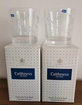 Buy CAITHNESS GLASS HANDCRAFTED LEAF CUT DESIGN WHISKY GLASSES X 2 BOXED  • 7.99£