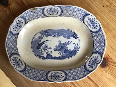 Buy Antique Furnivals Old Chelsea Blue & White 11 X 8.5 Inch MEAT PLATTER • 12.50£