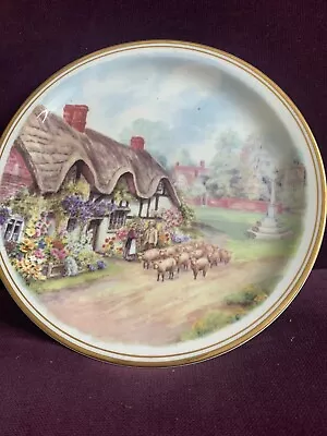 Buy Royal Vale Decoratıve Plate • 5£