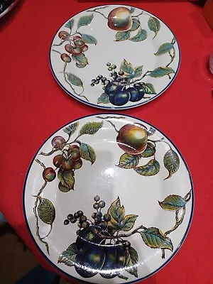 Buy 2x Staffordshire Tableware Autumn Fayre Dinner Plates 26cm, England 2 0f 6 • 20£
