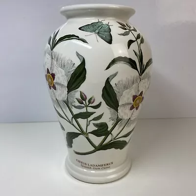 Buy Portmeirion Botanic Garden Spanish Gum Cistus 6.5  Tall Vase • 16£