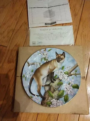 Buy Siamese & Apple Blossom  ROYAL STAFFORD Feline  Collector Plate In Box With Cert • 10.65£