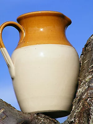 Buy Jug Glazed Ceramic, 1 Litre, Traditional Spout & Handle, Tan/cream, Vintage, VGC • 25.50£