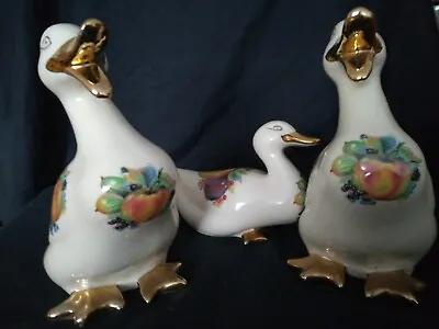 Buy KLM Staffordshire Pottery DUCK Collection Used In Good Condition • 45£