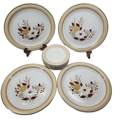 Buy Tawny Willows Crowning Fashion Ceramic Dinnerware 10.75” 4 Plates 6 Saucers Read • 10.12£