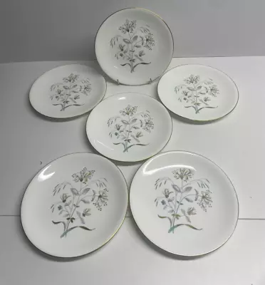 Buy Wedgwood Bone China Honeysuckle Gray Side Plates Set Of 6 ( D37), Tableware • 22.99£