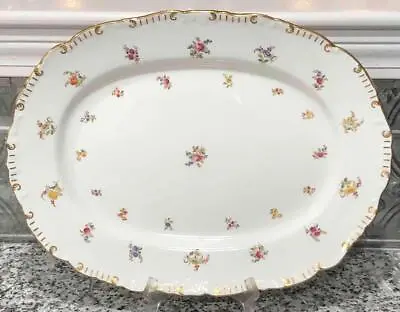 Buy Antique Hand-Painted Floral Platter, Brown, Westhead, Moure & Co., Cauldon Ware • 23.75£