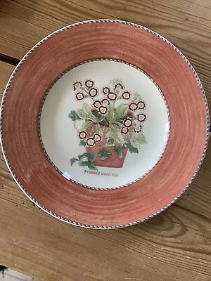 Buy Wedgewood Sarah’s Garden Pink Primula Side Tea Plate 8.25” Diameter • 8£