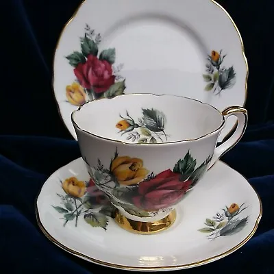 Buy Vintage Bone China Trio Tea Set. Royal Stafford  Gaiety Tea Plate, Cup & Saucer • 8.50£