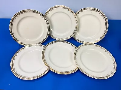 Buy Dinner Plates Grindley Pottery CREAMPETAL  Six 10  Gold Gilt Edging C40 • 25.47£