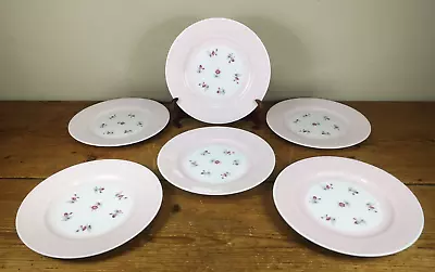 Buy 6 X Pretty Shelley Fine Bone China Pink Dessert Plates 18cm, Floral Sprigs • 29.50£