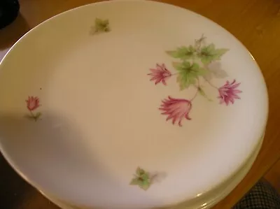Buy  Porcelain KPM Krister Rosenthal Germany 2 Pink Floral Dinner Plates 8.5 Inches • 7.99£
