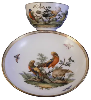 Buy Antique 18thC Meissen Porcelain Bird Scene Cup Saucer Porzellan Tasse Scenic • 574.79£