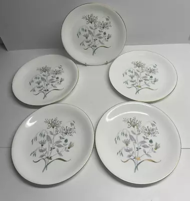 Buy Wedgwood Bone China Honeysuckle Gray Dinner Plates Set Of 5 ( B10), Tableware • 26.99£