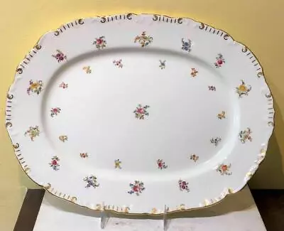 Buy Antique Hand-Painted Floral Platter, Brown, Westhead, Moure & Co., Cauldon Ware • 23.68£