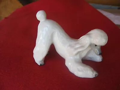 Buy Vintage Lomonosov Porcelain White Poodle Figurine Red Stamp, USSR • 23.98£