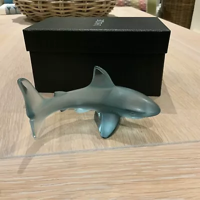 Buy LALIQUE Shark Persepolis Blue Crystal Sculpture (10673100) Brand New Boxed 🦈 • 329£
