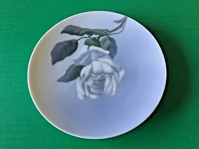 Buy RARE Royal Copenhagen Danish Porcelain White Rose Wall Plate PRE1935 BACK STAMP  • 23.62£