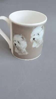 Buy ASHLEY Pottery Fine Bone China Coffee Tea Mug Westie Highland Terrier Dog 300m • 4.99£