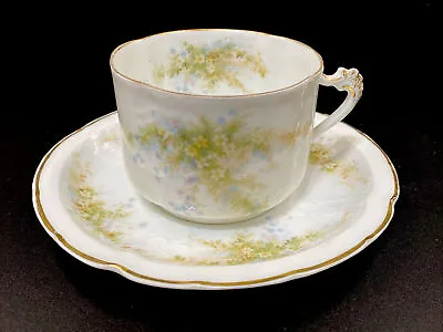 Buy Antique ROSENTHAL Porcelain TILLY Pattern - Cup Saucer Set  C. 1891-1906 • 18.26£