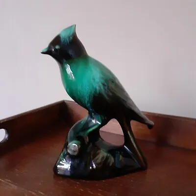 Buy Vintage Blue Mountain Pottery Cardinal Bird • 12£