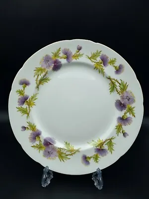 Buy Paragon  Highland Queen  Dinner Plate-1st Quality • 17.90£