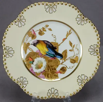 Buy Coalport Hand Painted Bird Insects Morning Glory & Raised Gold 9 1/4 Inch Plate • 470.23£