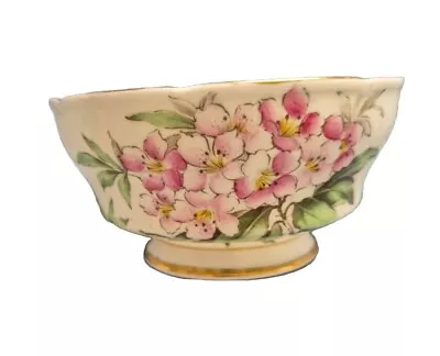 Buy Paragon By Appointment HM The QUEEN MARY Vintage Sugar Bowl Fine Bone China  • 9.99£