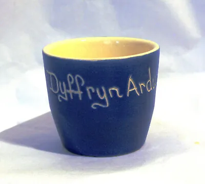 Buy Vintage Devon Blueware Eggcup: Dyffryn Ardudwy -  Devonmoor Pottery • 9£