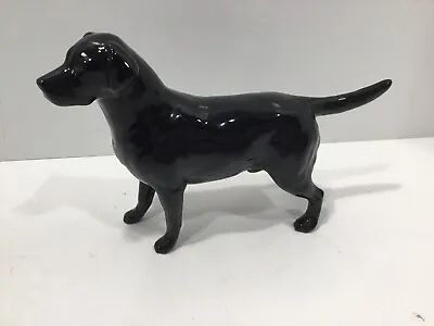 Buy RARE Beswick England Black Lab Dog Figurine 5”x 8” Solomon Of Wendonsel • 47.49£