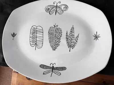 Buy Midwinter Stylecraft Terence Conran Designed  Nature Study  Oval Plate (31x26cm) • 20£